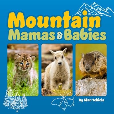 Cover for Stan Tekiela · Mountain Mamas and Babies - Wildlife Families (Board book) (2024)