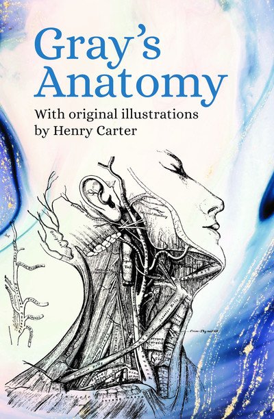 Cover for Henry Gray · Gray's Anatomy: With Original Illustrations by Henry Carter (Pocketbok) (2019)