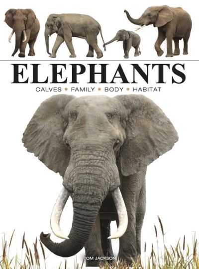 Elephants - Mini Animals - Tom Jackson - Kirjat - Amber Books Ltd - 9781838863593 - sunnuntai 14. huhtikuuta 2024