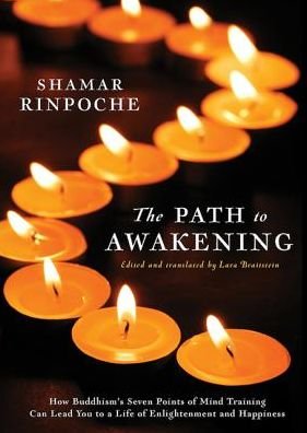 Cover for Shamar Rinpoche · The Path To Awakening: How Buddhism's Seven Points of Mind Training Can Lead You to a Life of Enlightenment and Happiness (Paperback Book) (2014)