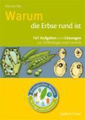 Warum die Erbse rund ist - Werner Bils - Książki - Quelle & Meyer - 9783494014593 - 1 lipca 2010