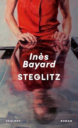 Cover for Inès Bayard · Steglitz (Book)