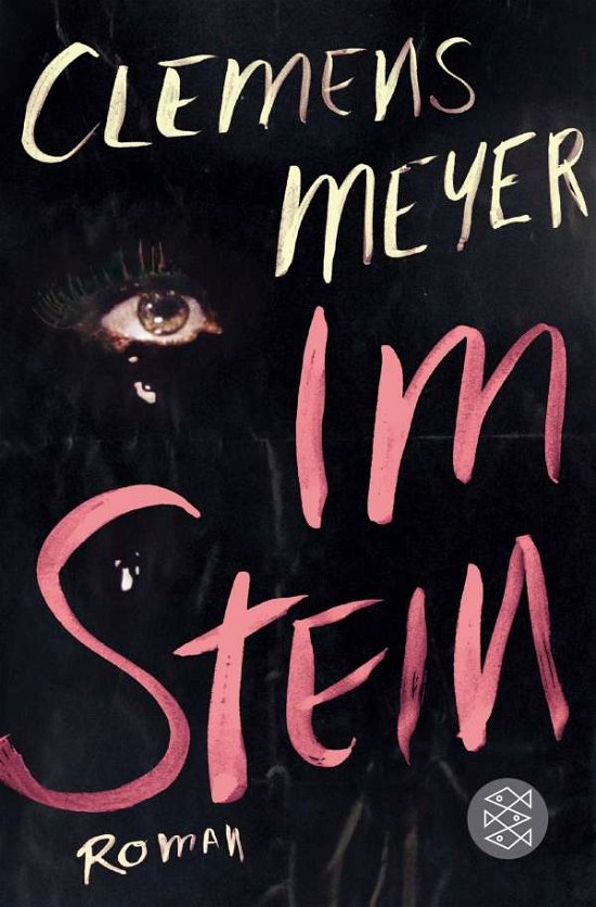 Cover for Clemens Meyer · Im Stein (Paperback Bog) (2014)