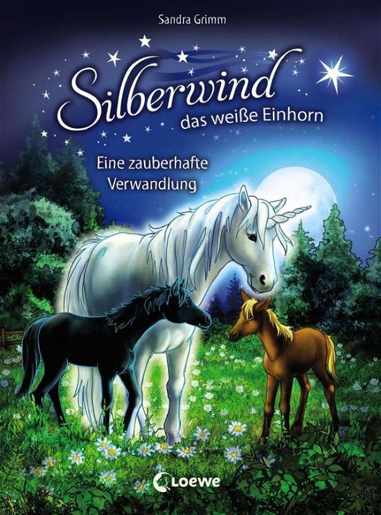 Cover for Grimm · Silberwind, das weiße Einhorn.9 (Buch)