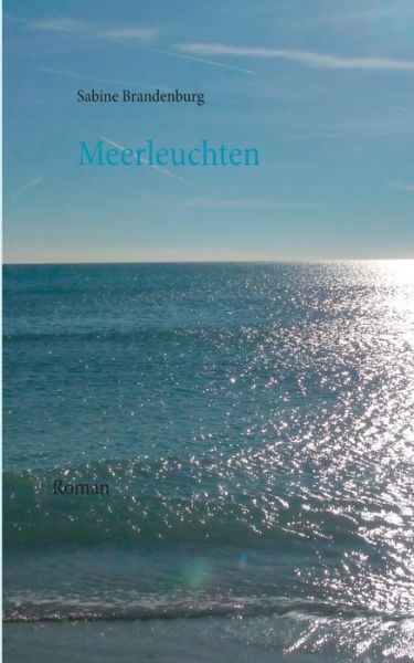 Cover for Sabine Brandenburg · Meerleuchten: Roman (Paperback Book) (2020)