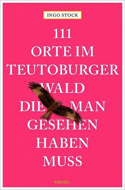 Cover for Stock · 111 Orte im Teutoburger Wald (Book)