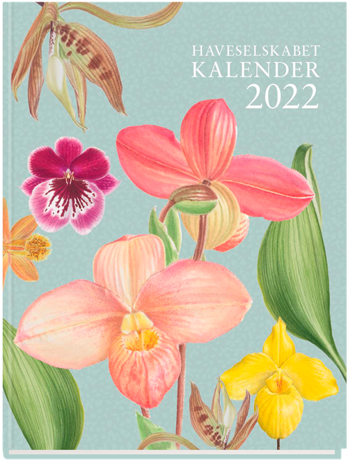 Cover for Ingen Forfatter; Ingen Forfatter; Ingen Forfatter · Haveselskabet kalender 2022 (Bound Book) [1. wydanie] (2021)
