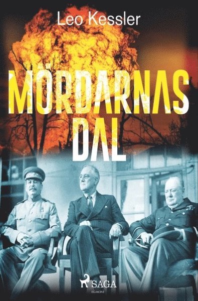 Cover for Leo Kessler · Mördarnas dal (Buch) (2018)
