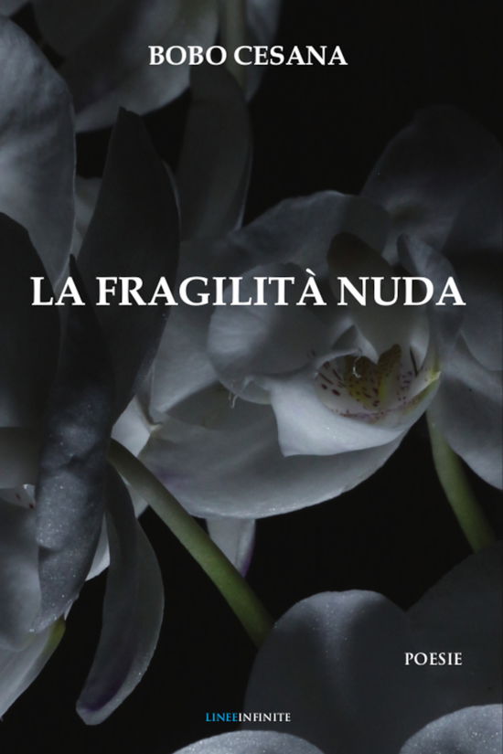 Cover for Bobo · La Fragilita Nuda (Book)