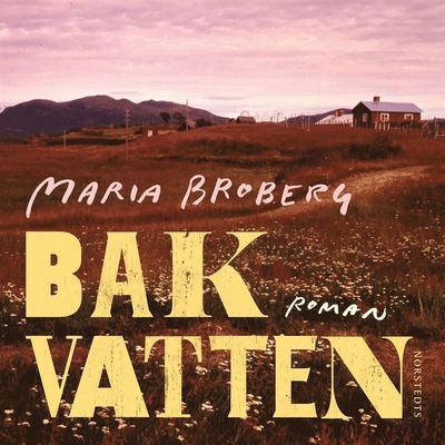 Cover for Maria Broberg · Bakvatten (Audiobook (MP3)) (2020)