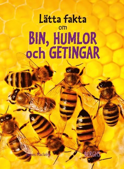 Cover for James Maclaine · Lätta fakta: Lätta fakta om bin, humlor och  getingar (Indbundet Bog) (2013)