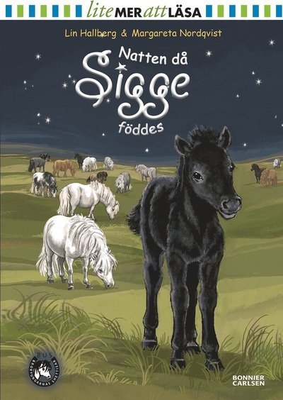 Cover for Lin Hallberg · Sam och Sigge: Natten då Sigge föddes (Innbunden bok) (2015)