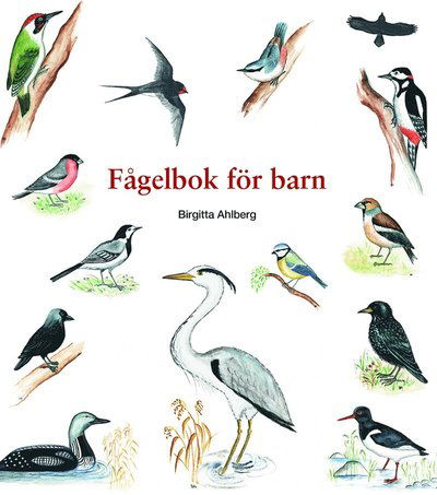 Cover for Birgitta Ahlberg · Fågelbok för barn (Map) (2021)