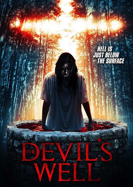 Cover for Feature Film · The DevilS Well (DVD) (2018)