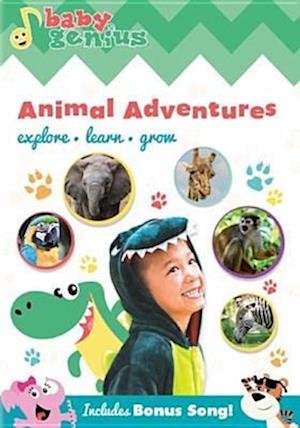 Baby Genius · Animal Adventures DVD w/Bonus Music CD (CD)