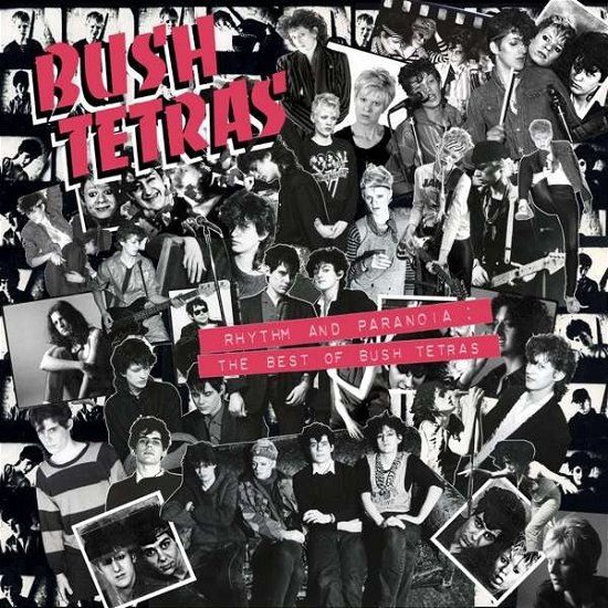 Cover for Bush Tetras · Rhythm And Paranoia: The Best Of... (CD) (2021)