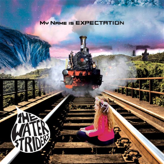 Cover for Waterstriders · My Name Is Expectation (LP) (2022)
