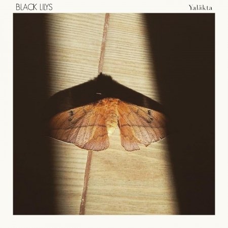 Cover for Black Lilys · New Era (CD) (2022)