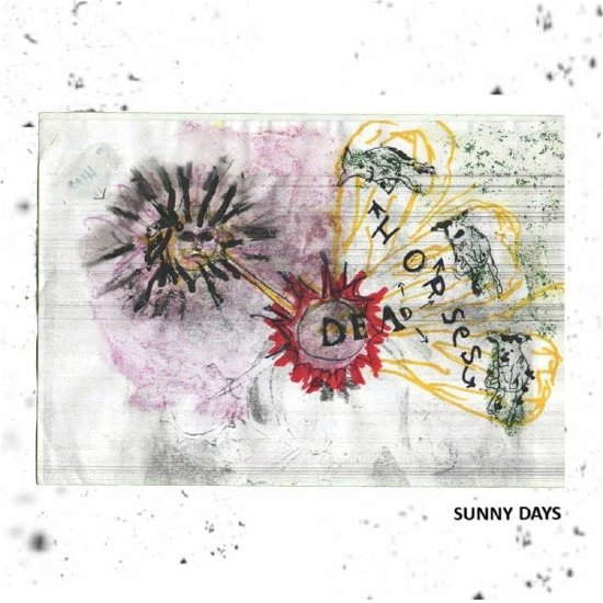 Sunny Days - Dead Horses - Music - MAPLE DEATH - 5053760097594 - January 13, 2023
