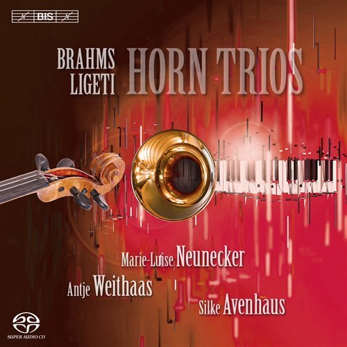 Cover for Nueneckerweithaasavenhaus · Brahmsligetihorn Trios (CD) (2012)