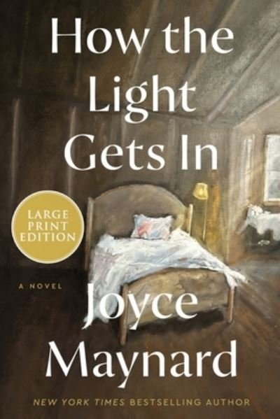 Cover for Joyce Maynard · How the Light Gets In (Buch) (2024)