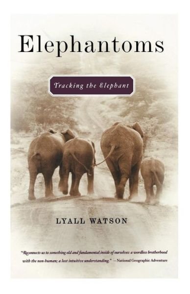 Elephantoms - Tracking the Elephant - Lyall Watson - Books - W. W. Norton & Company - 9780393324594 - July 1, 2003
