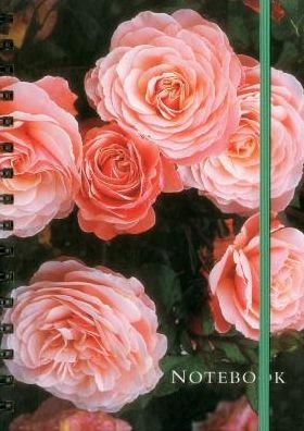 Cover for Peony Press · Notebook Rose: 128 Page Fine Line Notebook (Hardcover Book) (2016)