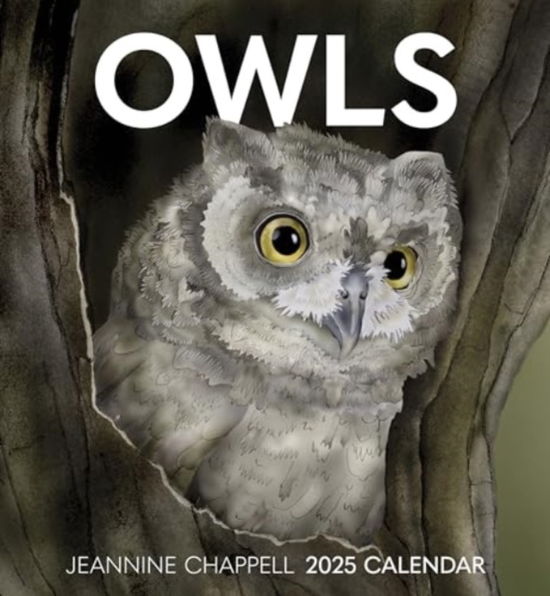 Owls: Jeannine Chappell 2025 Wall Calendar - Jeannine Chappell - Books - Pomegranate - 9781087509594 - August 15, 2024