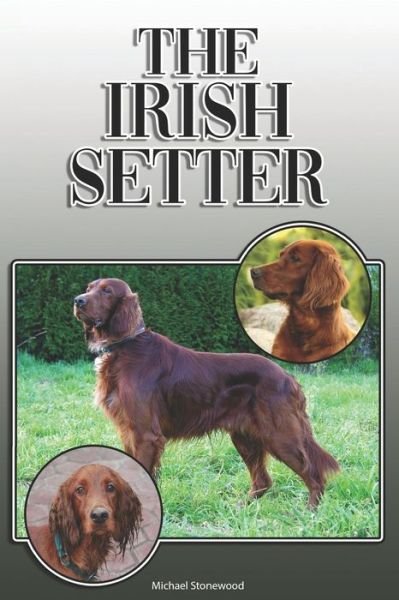 Cover for Michael Stonewood · The Irish Setter : A Complete and Comprehensive Owners Guide to : Buying, Owning, Health, Grooming, Training, Obedience, Understanding and Caring for Your Irish Setter (Paperback Book) (2019)