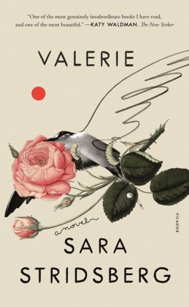 Cover for Sara Stridsberg · Valerie: or, The Faculty of Dreams: A Novel (Paperback Book) (2020)