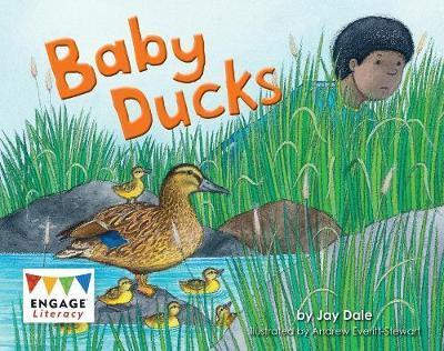 Cover for Jay Dale · Baby Ducks (Paperback Book) (2018)