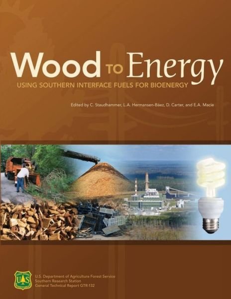 Wood to Energy: Using Southern Interface Fuels for Bio Energy - U S Department of Agriculture - Books - Createspace - 9781505829594 - January 3, 2015