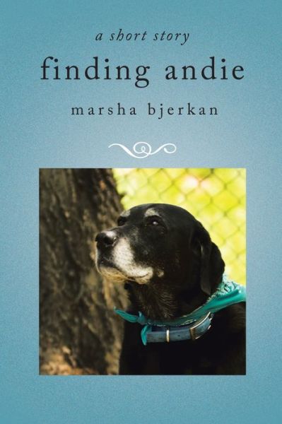 Cover for Marsha Bjerkan · Finding Andie (Paperback Book) (2017)