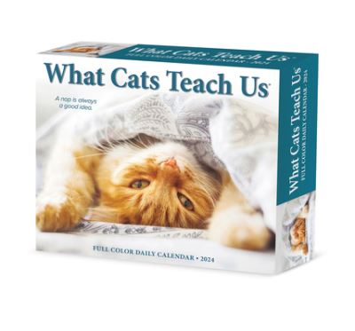 What Cats Teach Us 2024 6.2 X 5.4 Box Calendar - Willow Creek Press - Merchandise - Willow Creek Press - 9781549236594 - July 30, 2023