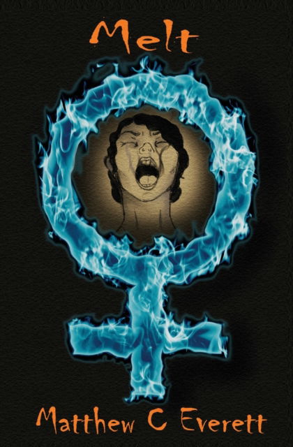 Melt - Matthew Everett - Livros - Vivid Publishing - 9781922565594 - 1 de setembro de 2021