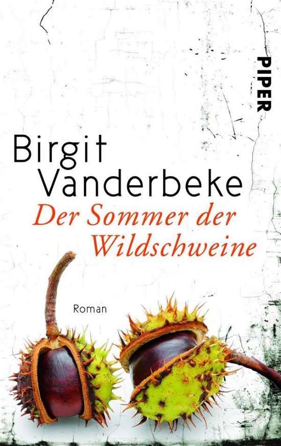 Cover for Birgit Vanderbeke · Der Sommer der Wildschweine (Taschenbuch) (2015)