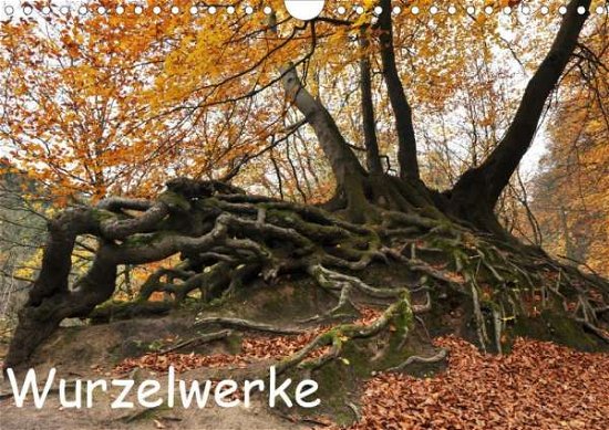 Cover for N · Wurzelwerke (Wandkalender 2020 DIN A4 (Bog)