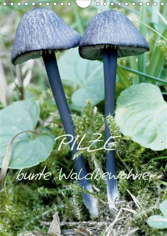 Cover for N · Pilze (Wandkalender 2021 DIN A4 hoch) (Book)