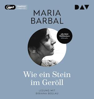 Wie ein Stein im Geröll - Maria Barbal - Muzyka - Der Audio Verlag - 9783742424594 - 