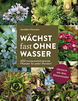 Wächst fast ohne Wasser - Aurélien Davroux - Bücher - Ulmer Eugen Verlag - 9783818613594 - 13. Januar 2022