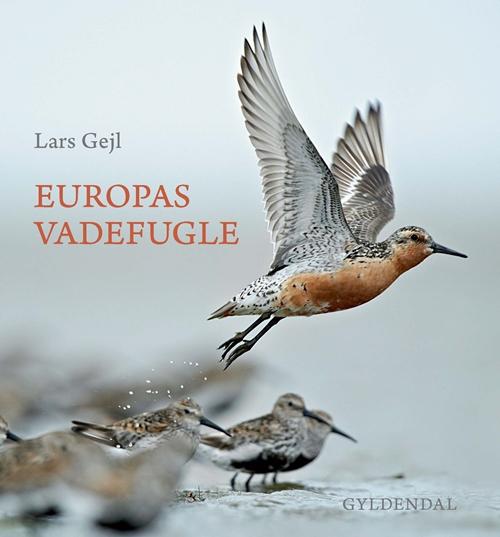 Cover for Lars Gejl · Europas vadefugle (Bound Book) [1. Painos] (2015)