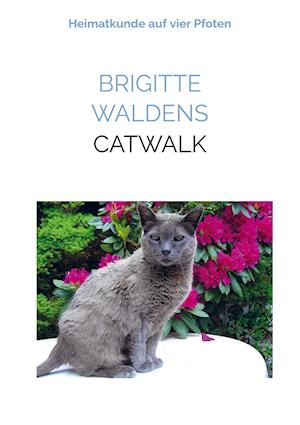 Cover for Brigitte Waldens · Catwalk (Pocketbok) (2021)