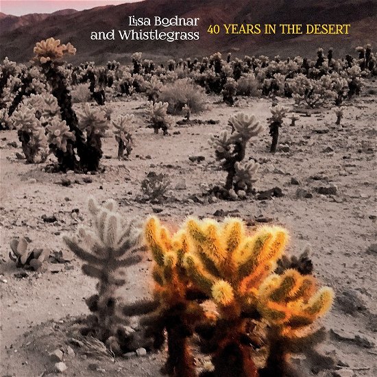 Cover for Bodnar, Lisa &amp; Whistlegrass · 40 Years In The Desert (CD) (2022)