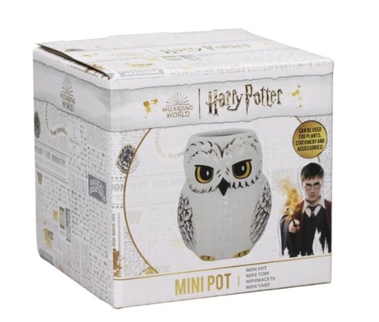 HARRY POTTER - Hedwig - Mini Pot - Harry Potter - Produtos - HARRY POTTER - 5055453495595 - 