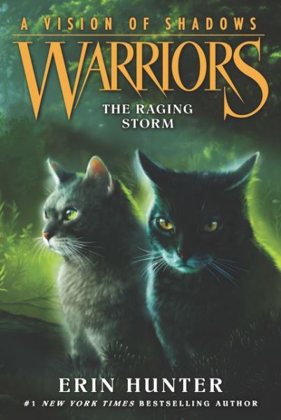 Cover for Erin Hunter · Warriors: A Vision of Shadows #6: The Raging Storm - Warriors: A Vision of Shadows (Taschenbuch) (2019)