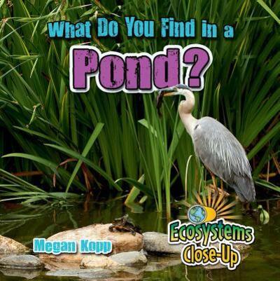 Cover for Megan Kopp · What Do You Find in a Pond? (Hardcover Book) (2016)