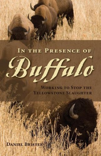 In the Presence of Buffalo: Working to Stop the Yellowstone Slaughter - Daniel Brister - Books - Graphic Arts Center Publishing Co - 9780871089595 - August 15, 2013