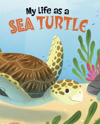 Cover for John Sazaklis · My Life as a Sea Turtle - My Life Cycle (Hardcover bog) (2023)