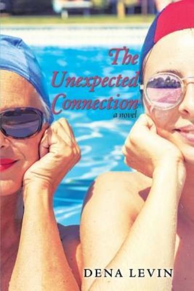 Cover for Dena Levin · The Unexpected Connection (Taschenbuch) (2019)