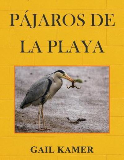 Cover for Gail Kamer · Pajaros de la Playa (Paperback Book) (2017)